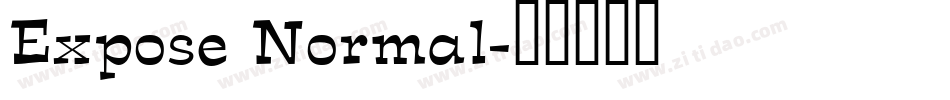 Expose Normal字体转换